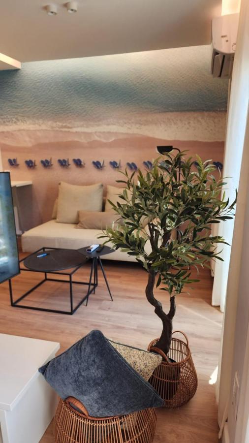 אתונה Renovated Apartment With Roof Garden Access, 15 M Walk To Acropolis מראה חיצוני תמונה