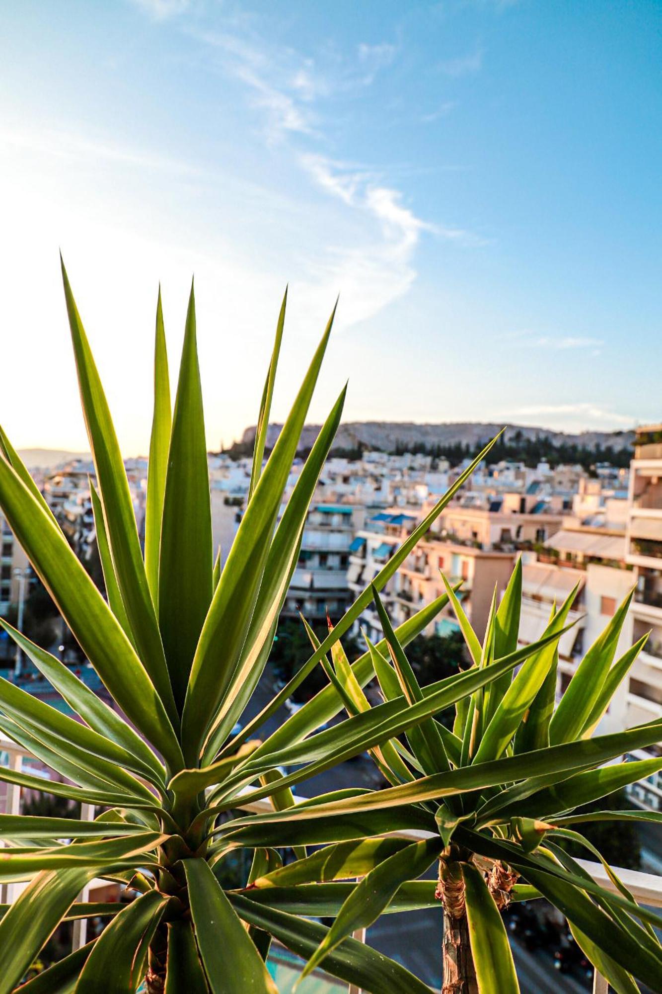 אתונה Renovated Apartment With Roof Garden Access, 15 M Walk To Acropolis מראה חיצוני תמונה