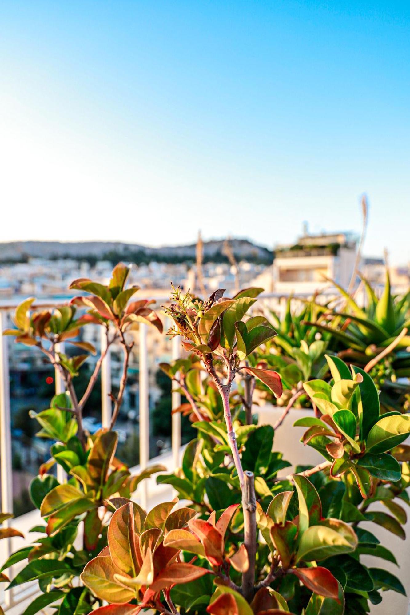 אתונה Renovated Apartment With Roof Garden Access, 15 M Walk To Acropolis מראה חיצוני תמונה
