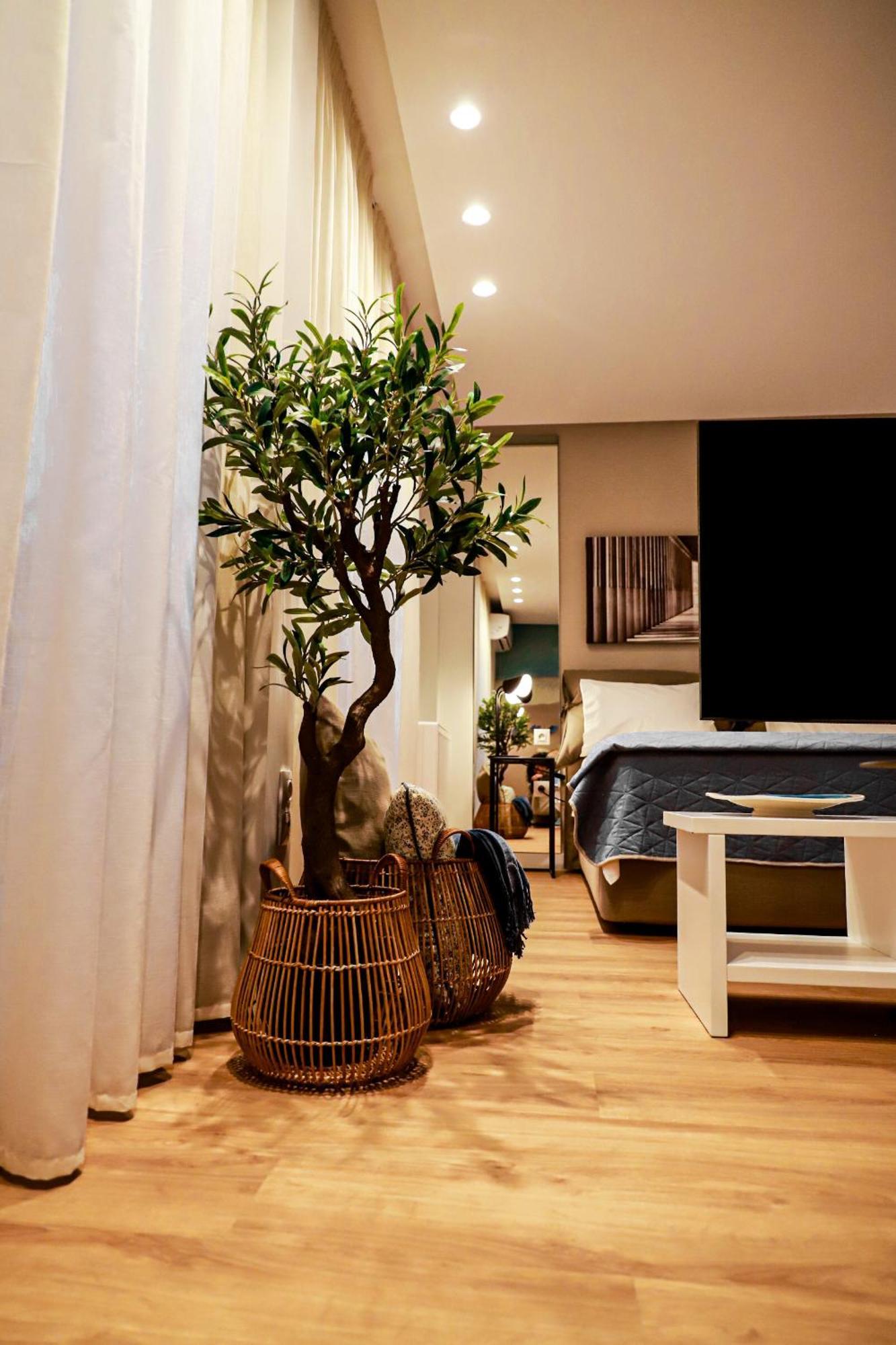 אתונה Renovated Apartment With Roof Garden Access, 15 M Walk To Acropolis מראה חיצוני תמונה