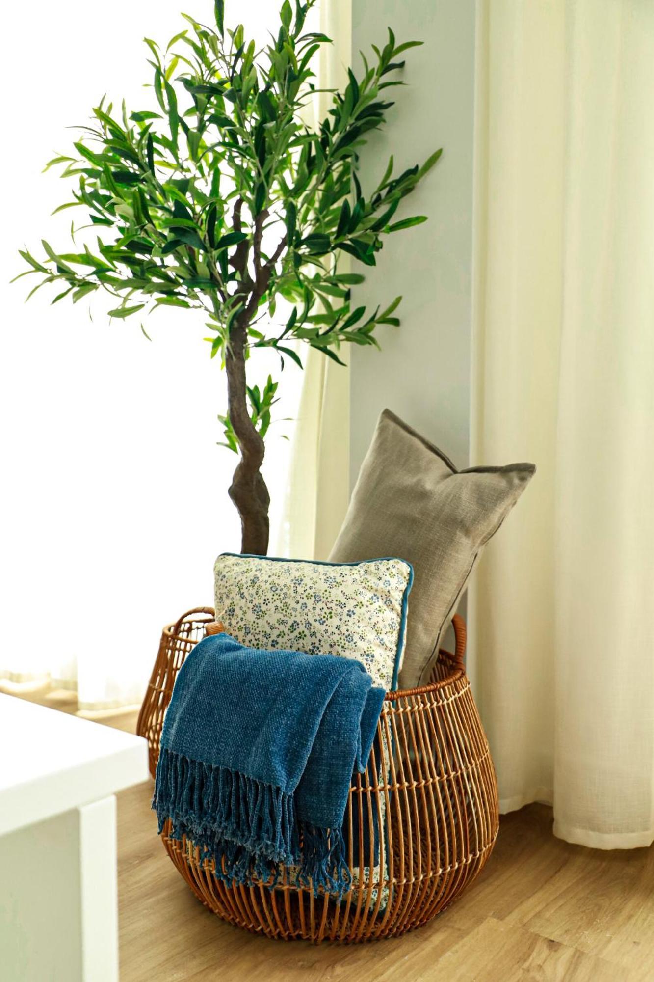 אתונה Renovated Apartment With Roof Garden Access, 15 M Walk To Acropolis מראה חיצוני תמונה